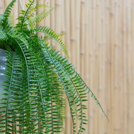 Liiiving In - Pool Paradise Apartament Porto