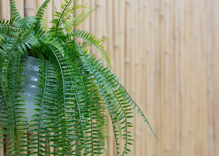 Liiiving In - Pool Paradise アパート ポルト